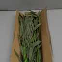 5 Pcs Artificial Fall Eucalyptus Leaves Greenery Stems for Home Vase Decor, 35" Fake Leaf Branches Plants for Autumn Floral Arrangements, Wedding, Thanksgiving & Party Table Centerpieces, Green