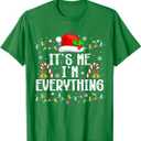 I Have Everything I Want for Christmas Its Me I'm Everything T-Shirt, S