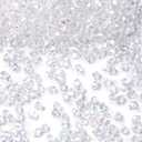 DomeStar 4200PCS Clear Fake Ice Rocks, Iridescent Clear Acrylic Crushed Ice Rocks Crystal Rocks Diamonds Gems for Vase Fillers Centerpiece Fish Tank Table Scatter Photography Props Display Decoration