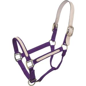 Tough 1 Break-Away Halter, Purple, Horse