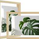 Egofine 6x8 Floating Frames Set of 2, Double Plexiglass Picture Frame, Made of Solid Wood Display Any Size Photo up to 6x8, Wall Mount or Tabletop Standing, Natural Wood