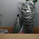 5' Pre-Lit Clear Incandescent Potted Trees, Set Of 2