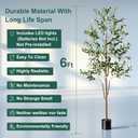 Olive Tree, 6FT Tall Faux Olive Tree with Moss and Planter, Olive Trees Artificial Indoor with Realistic Wood Trunk and Lifelike Fruits, Fake Olive Tree for Home Office Living Room Decor