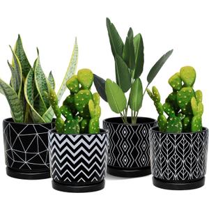 Ton Sin Flower Pots,5.5 Inch Black Ceramic Planter with Drainage Hole,Indoor Cylinder Plant Pots with Saucer,Cactus Succulent Outdoor Garden Pots Set of 4