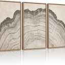 KUVIOKE Boho Vintage Antique Tree Wall Art Framed Neutral Retro Tree Rings Wood Prints Rustic Nature Illustrations Bedroom Living Room 16x24in (Natural Framed) (24L" x 16W" x 3 Panels Natural)