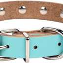 Basic Classic Adjustable Genuine Cow Leather Pet Collars for Cats Puppy Dogs (Medium, Blue-Spiked Rivet) (Medium / Neck 10.5"-13")
