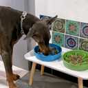 LE TAUCI Slow Feeder Dog Bowls Ceramic, 1.5 Cups Dog Food Bowl, Puppy Slow Feeder Dish for Fast Eaters, Clover Green