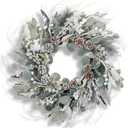Winter Wreaths for Front Door, Winter Door Wreath with White Berries Pine Cones, White Snow Eucalyptus Wreath for All Seasons Winter Christmas Door Outside Decorations 50 pcs Twig
