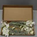 Floroom 5 Pcs Artificial Flowers Ivory Fake Cosmos Faux Silk Flower for Indoor Home Decor, Party Arrangements, Wedding Bouquets, Floral Table Centerpieces, and Decorations