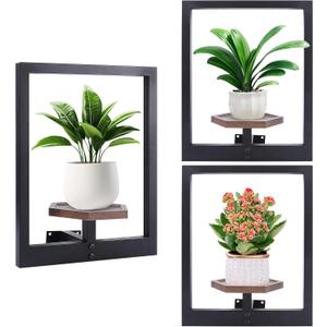 Ondware 3 Pack Wall Planters for Indoor Plants,Wooden Plant Shelves with Raised Edges,Window Plant Holders Plant Stand Indoor Wall Decor Hanger for Living Room Bedroom Outdoor Entryway