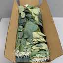 Giegxin 180 Pcs 3 Kinds Mixed Artificial Eucalyptus Leaves Stems Bulk Silver Dollar Leaves Picks Dried Eucalyptus Bundle Faux Spray for Wedding Vase Bouquet Floral Arrangement (Green)