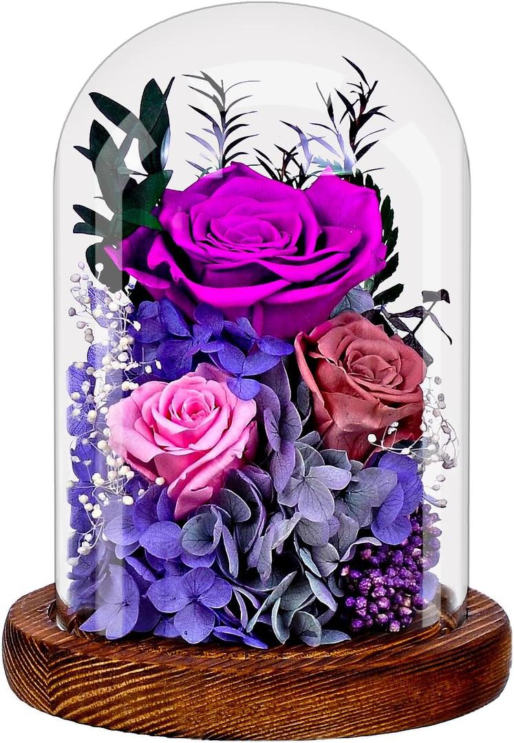 Preserved Eternal Roses in Glass Dome - Purple Forever Rose Bouquet Gift for Women, Mothers, Valentine's Day, Anniversary, Birthday - Real Long-Lasting Flowers with Prime Delivery