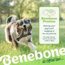 Benebone Wishbone Durable Dog Chew Toy for Aggressive Chewers, Real Bacon, Made in USA, Medium