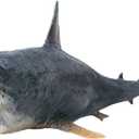 Toys Megalodon Whale Figure - Realistic Hand-Painted Huge Shark Figurine - Animals Action Educational Learning Figures Sea Creature Toy Decorative Collection Gift for Kids