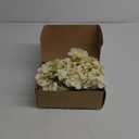 MECCANIXITY Silk Artificial Hydrangea Flowers, Beige Artificial Flowers Heads with Stems, Full Hydrangea Flowers for Wedding Centerpieces, Party Decoration 30 Set