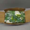 Dolicer 4Pcs 26Ft Artificial Eucalyptus Garlands with Flowers - 8 Roses, Faux Floral Greenery Garlands Fake Flowers Vines for Wedding Table Centerpieces Arch Party Ceremony Backdrop Decor (White)