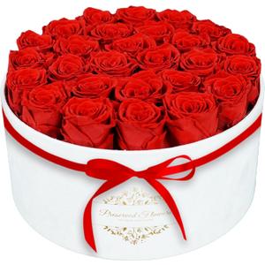 27 Forever Flowers in a Luxury Suede Box, Preserved Roses Birthday Gifts for Women, Romantic Anniversary Wedding Gifts for Women Her Girlfriend Wife, Red