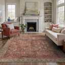 BESBLEE 8X10 Area Rugs Machine Washable Rugs for Living Room, Vintage Boho Large Rugs for Bedroom Dining Room, Non Slip Indoor Soft Distressed Lightweight Thin Low Pile Carpet, Rust Red
