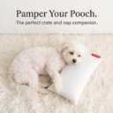Pipsqueak Microfiber Pillow - Small, Mini, Tiny - 11 x 7 in - Perfect for Travel, Cars, Airplanes, Camping, Dogs, Toddlers, Kids, Lumbar, Knees and Neck - Ages 2 Yrs and Up