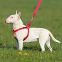 Plutus Pet Step in Dog Harness, Reflective, Adjustable, and Secure with Metal Buckles, Quick Fit Dog Harness for Puppy, Small, Medium and Large Dogs, Red, M