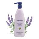 EXTRA GENTLE BABY SHAMPOO Lavender 16oz