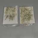Tinideya 100 Pcs Dried Babys Breath Flowers Bulk Babys Breath Real Pressed Flowers Natural Gypsophila for Resin Wedding Art Craft Baby Shower DIY Invitations Scrap Booking Card Making(Ivory White)
