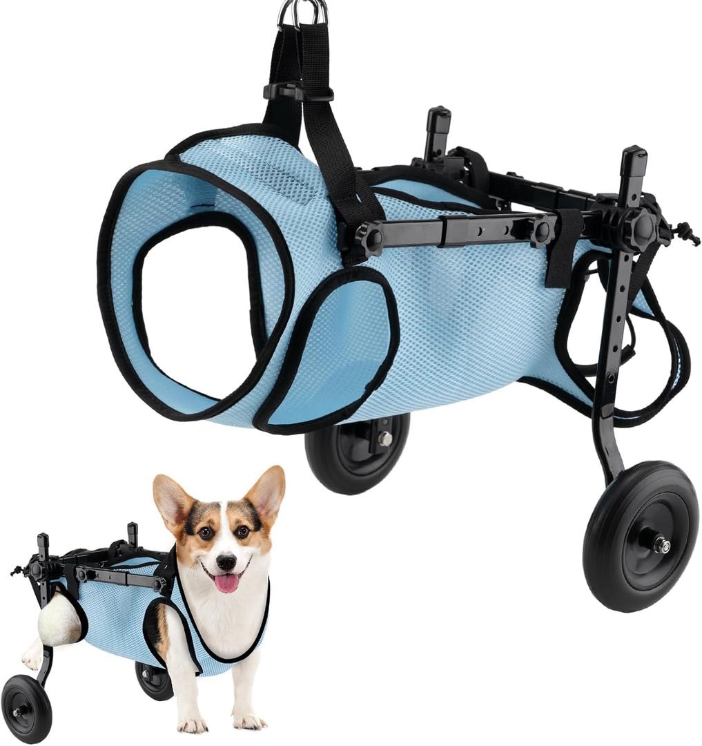 Dog Wheelchair for Back Legs, Dog Wheelchair Cart, Doggy/cat Wheelchairs with Disabled Hind Legs Walking, Mobility Aids for Small Pets Hind Limbs, Dogs Carts with Wheels, Light Weight,M