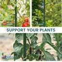 PROWORX 24 Inch 2 Ft Plant Support Garden Stakes 25 PCS, Sturdy Steel Plastic Coated Sticks for Outdoor Growing Climbing, Tomato, Trees, Cucumber, Beans