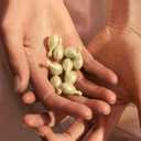 EVE LOM Cleansing Oil Capsules | Oil based facial cleanser that dissolves all traces of impurities and make-up including waterproof. Hydrates the skin for up to 12 hours after use. Capsule shell is fully biodegradable.