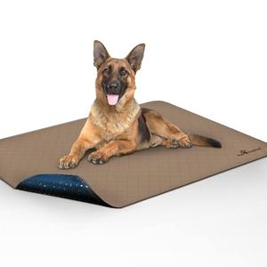 Paw Inspired Washable Pee Pads for Dogs, Leakproof, Non-Slip Reusable Puppy Pads for Potty Training, Whelping, Waterproof Mat (48x60 Inch, Pack of 1)