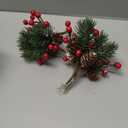 10 Pcs Red Berry Stems - Pine Cones for Crafts,Pine Cones for Decorating,Red Berry Wreath Floral Picks,Valentine's Day Mother's Day,Birthday Party Decoration,Gift Wrap Embellishment