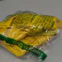 Fox Valley Traders Gaggleville Raincoat Goose Outfit, Fits Large 23" H Statue