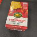 Nature's Path Organic Unfrosted Berry Strawberry Toaster Pastries, 11 Ounce (Pack of 12), Non-GMO, Made From Real Berries (Best By: 04/30/2026)