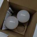 LED Light Bulbs, 100 Watt Equivalent A19, 13W 5000K Daylight White 1500 Lumens Non-Dimmable Bright E26 Edison Medium Screw Bulbs for Home Bedroom Kitchen Living Room Office Lamp, 2 Pack