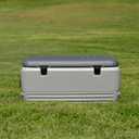 Igloo Hard Cooler | Polar & Party Bar Series | Insulated Ice Chests