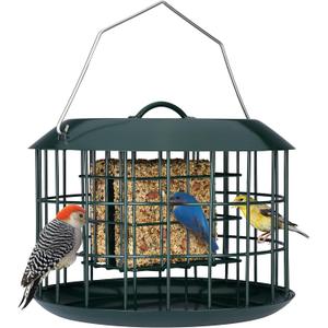 Kingsyard Squirrel Proof Suet Feeder, Cage Bird Feeders for Outdoors Hanging, All Metal, Double Suet Cake Capacity, Tray & Weatherproof, Green