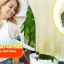 2 Pack Plant Covers Freeze Protection 47.2''70.8'' Upgraded Large Frost Cloth Plant Freeze Protection with Zipper and Drawstring Plant Covers for Frosts Reusable Frost Cloths for Valuable Plants
