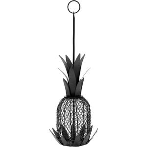 Pineapple Bird Feeder