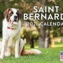 Saint Bernard Calendar 2026 Wall 12 Month Monthly Saint Bernards Gifts For Saint Bernard Lovers Women Men Mom Dad | American Made In The USA