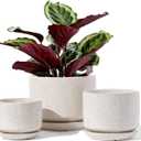 LE TAUCI Ceramic Plant Pots, 4.3+5.3+6.8 inch, Set of 3, Planters with Drainage Hole and Saucer, Indoor Flower Pot with Hole Mesh Pad, Gifts for Mom, Reactive Glaze Beige, Medium