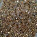 Handmade Shinning Rhinestones lace Applique Pure handsewing Beads Crystal Sequins Trim Patches Perfect Decoration Accessories (Champagne)