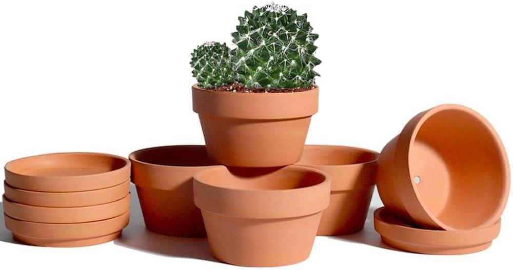 Vensovo 5.7 Inch Terracotta Shallow Succulent Pot - 6 Pack Terra Cotta Clay Pots with Saucer, Cactus Terra-Cotta Indoor and Outdoor Planters with Drainage Hole (Brown)
