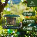 Kingsyard Squirrel Proof Suet Feeder, Cage Bird Feeders for Outdoors Hanging, All Metal, Double Suet Cake Capacity, Tray & Weatherproof, Green