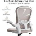 Ergonomic Office Chair, Comfort Swivel Home Office Task Chair, Breathable Mesh Desk Chair, 
Lumbar Support Computer Chair with Flip-up Arms and Adjustable Height