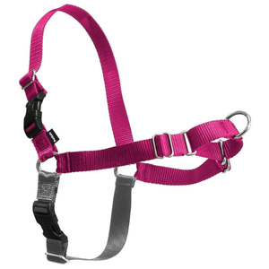 Black Rhino Heavy Duty Dog Leash for  Dogs - 6 ft Long Double Handle Leash with Padded Traffic Control Handles and Bag for Comfort - Reflective, Durable, and Weather Resistant (Pink, M)