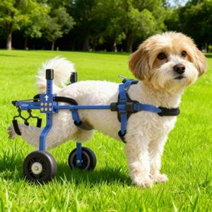 Dog Wheelchair for Back Legs,Adjustable Dog Carts with Wheels for Disabled Hind Legs, Bike Trailer Type Mobility Aid for Disabled Dogs to Regain Independence (For 13-26 lbs Blue)