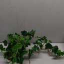 Briful Fake Hanging Plant Greenery Real Touch Sage Ivy Vine Hanging Bush Plants Artificial with Hemp Rope Silk Plants for Home Wall Decor 39.4'' Wedding Ceiling Decoration