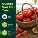 Beefsteak Tomato Seeds for Planting - 400 Heirloom Indeterminate Tomato Seeds, Vegetable Seed Packet with Instructions for Planting Home Garden Indoor & Outdoor