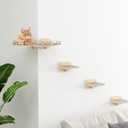 Megidok Modern Cat Wall Furniture - Cat Climbing Shelves with 3 Steps, Hammock & Perches - Up to 22Lbs