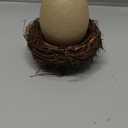 GARVALON 1set Ceramic Eggshell Planter with Bird Nest - Unique Flower Vase Rustic Plant Pot Farmhouse Planter for Home Office Shelf Desk Decoration